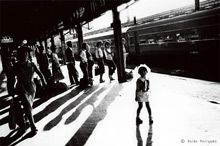 展覧会イメージ