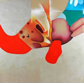 (C)G.Bottazzi