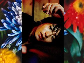 展覧会イメージ