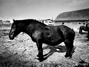 展覧会イメージ